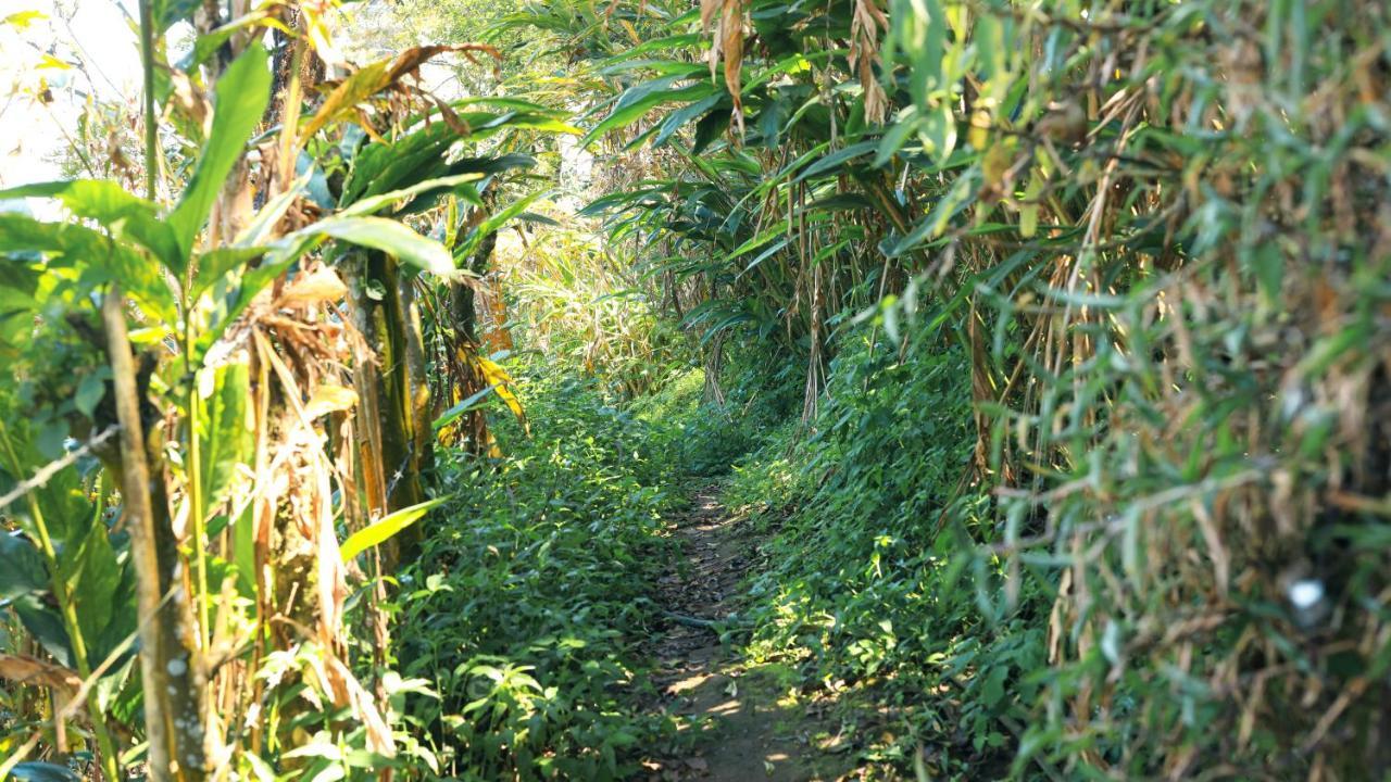 Shola Crown Resort - Munnar Chinnakanal Esterno foto